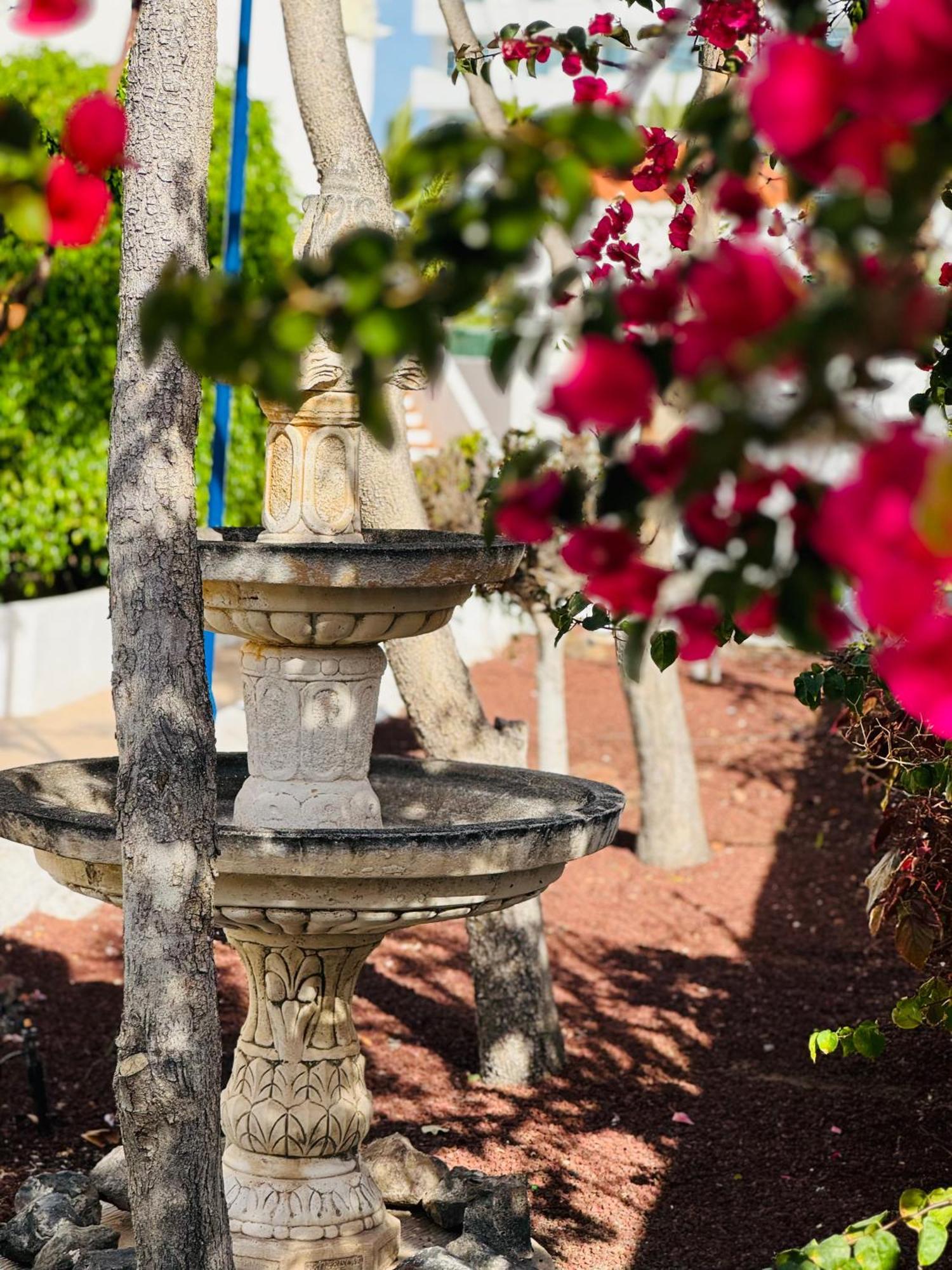 Garden City Private Apartment Costa Adeje Playa Feñabe Buitenkant foto